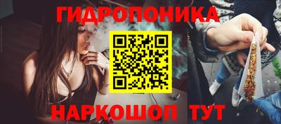 Альфа ПВП Тверь
