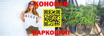 стафф Тара