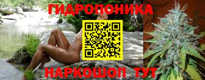 Альфа ПВП Тверь