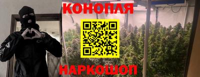 стафф Тара