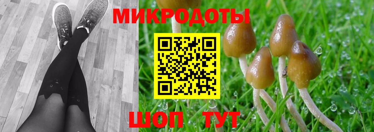 Норильск  Псилоцибиновые грибы мицелий  Вход с VPN 