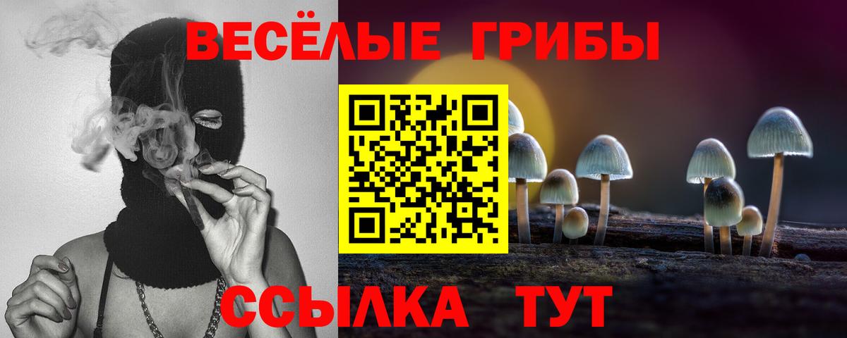 Галлюциногенные грибы Magic Shrooms Норильск